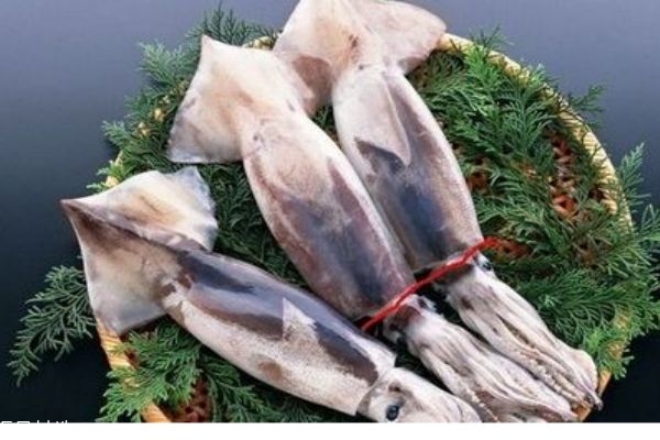 鱿鱼的价格现在是什么多少钱,市场上鱿鱼的价格是多少