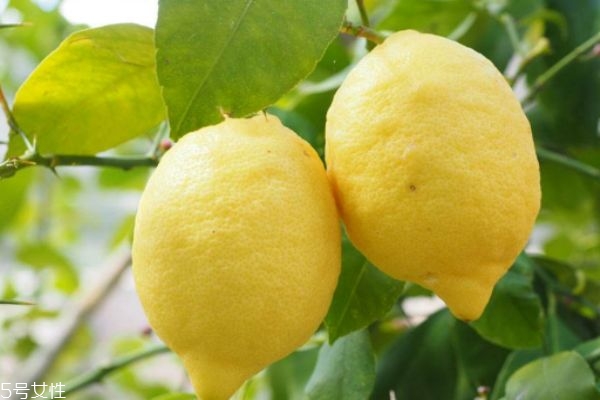 柠檬有什么作用呢?,柠檬有什么作用呢呵呵喝柠檬水喝柠檬水有什么作用呢