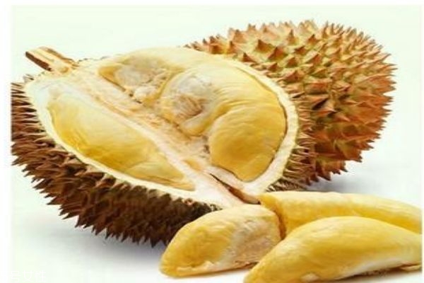 榴莲都有什么营养价值,榴莲的营养价值有多高