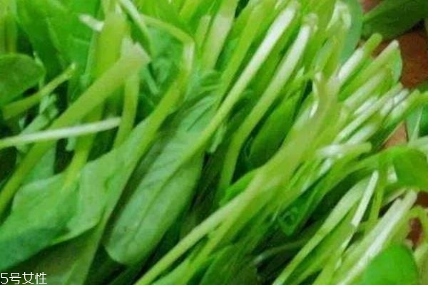 鸡毛菜的禁忌,鸡毛菜功效和作用禁忌