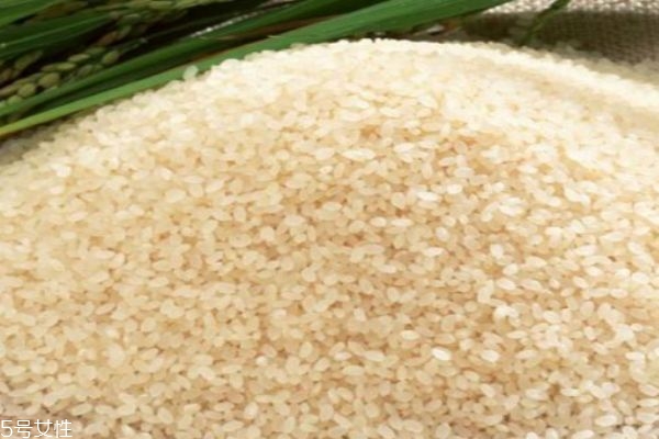 大米怎么做的,大米如何做好吃