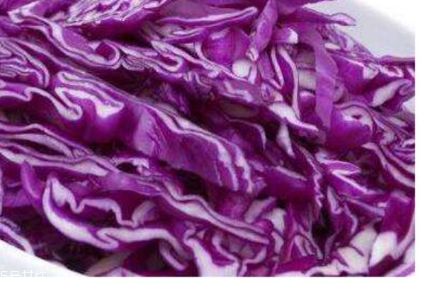 什么叫紫甘蓝,紫甘蓝和绿甘蓝