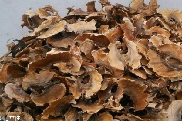 什么是分心木?分心木的功效和作用?,什么是分心木