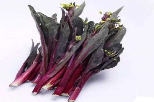 红菜苔叫什么,红色的菜苔是什么菜