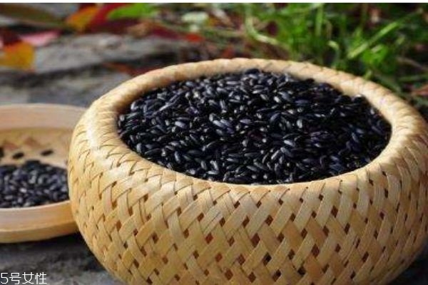 黑米的禁忌,黑米有什么好处和禁忌?