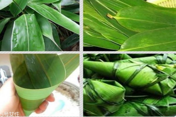 包粽子用的叶子是什么植物的叶子,粽叶是什么植物的叶子? 包粽子用的叶子是什么植物的叶子,粽叶是什么植物的叶子?