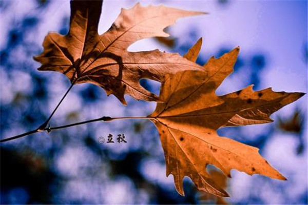 秋天喝凉水会怎么样,冬天能不能喝凉水 秋天喝凉水会怎么样,冬天能不能喝凉水
