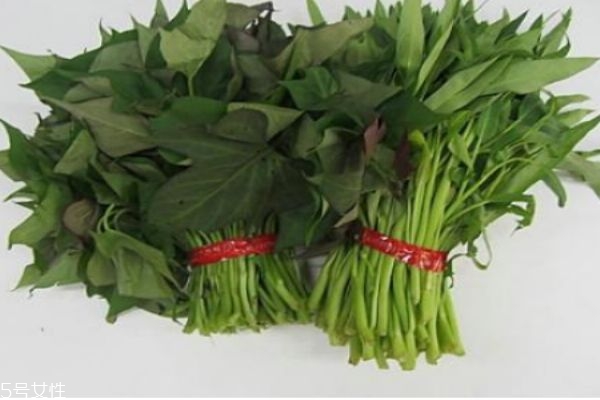 红薯什么时候上市,红薯叶什么时候种植