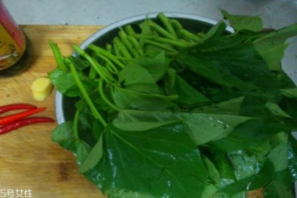 红薯叶的好处,吃红薯叶子有什么好处 红薯叶的好处,吃红薯叶子有什么好处