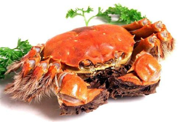 螃蟹和大闸蟹的区别,大闸蟹和海蟹的区别是什么