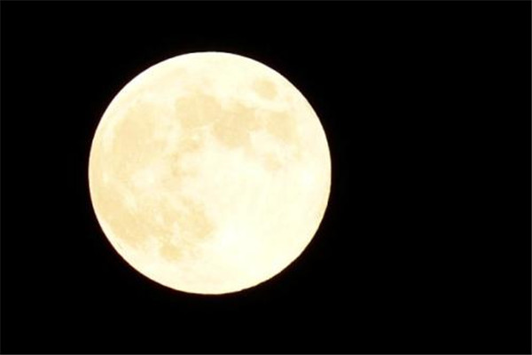 为什么秋天吃螃蟹,中秋之后吃公蟹还是母蟹 为什么秋天吃螃蟹,中秋之后吃公蟹还是母蟹