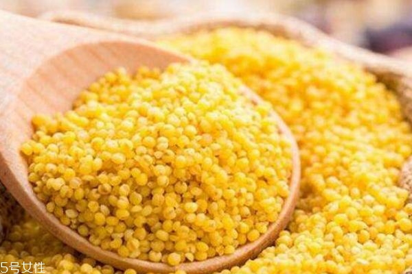 黄米又叫什么米,黄米指的是什么