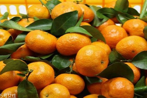 冰糖橘子有什么功效,冰糖金桔的功效