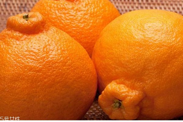 丑橘是什么样的,丑橘为什么叫丑橘?