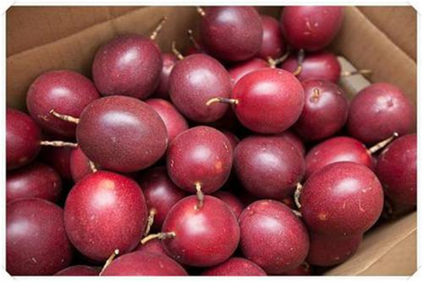 吃百香果会不会胖,百香果的吃了是不是会长胖