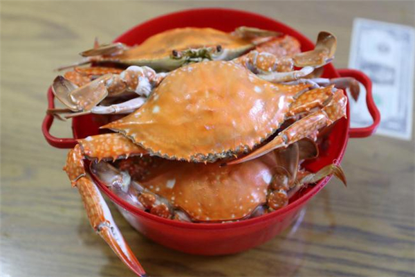 梭子蟹吃多了会怎样,大闸蟹吃多了胃难受怎么办