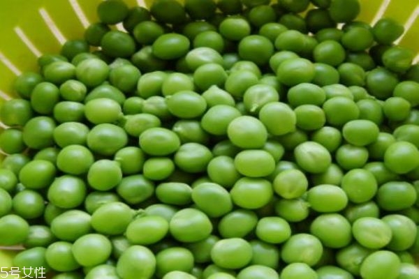 青豆有什么营养价值和功效,青豆有营养吗 青豆有什么营养价值和功效,青豆有营养吗