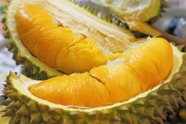 脂肪肝的人可以吃榴莲吗,脂肪肝能吃石榴吗 脂肪肝的人可以吃榴莲吗,脂肪肝能吃石榴吗