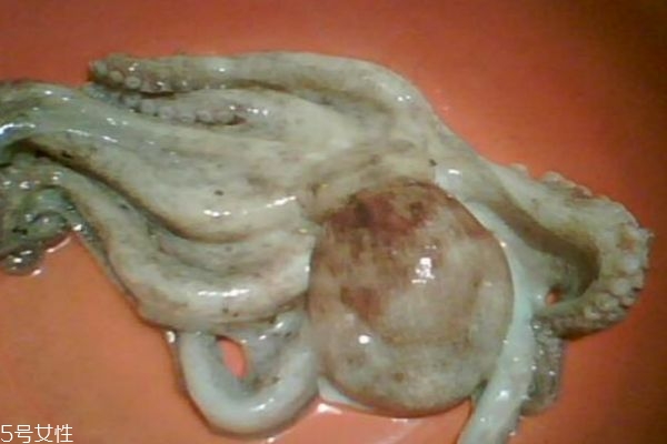 八爪鱼的简单好吃做法,八爪鱼家常做法