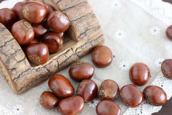 板栗酒有什么功效和作用,板栗泡酒有什么作用