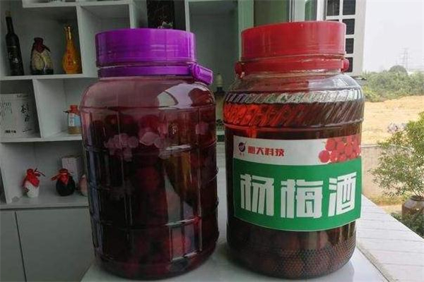 杨梅酒酸了怎么回事,自己泡的杨梅酒太甜了怎么办 杨梅酒酸了怎么回事,自己泡的杨梅酒太甜了怎么办