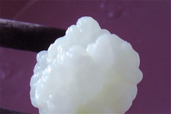 雪莲菌用什么牛奶泡,雪莲菌泡牛奶有什么功效和作用 雪莲菌用什么牛奶泡,雪莲菌泡牛奶有什么功效和作用