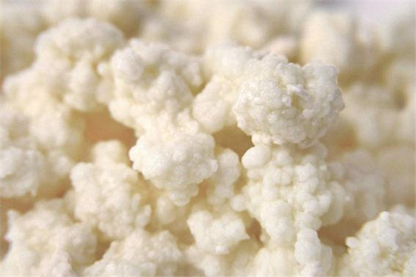 雪莲菌的作用和功效有哪些,雪莲菌是什么东西