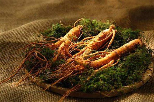 野山参怎么保存能放多久,野山参可以放几年