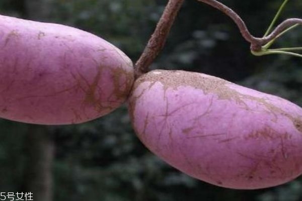 八月炸是啥,八月炸为什么叫八月炸