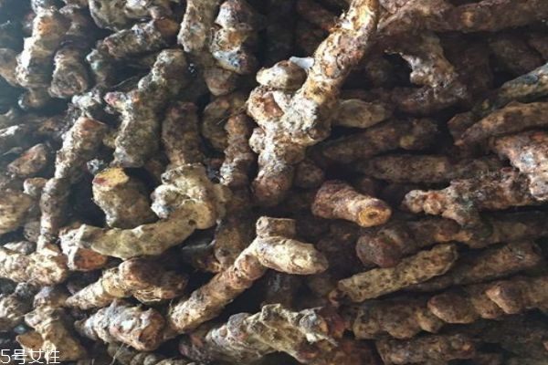 茯苓是什么呢,茯苓为什么叫茯苓