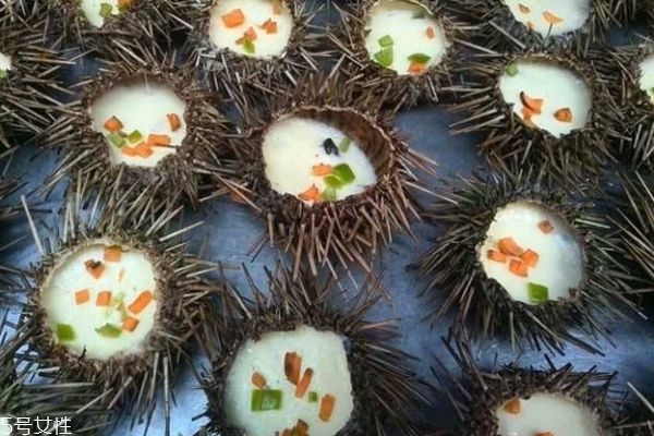 海胆生活在哪里,海胆在海里什么地方