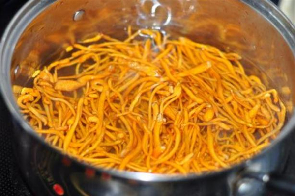 虫草花可以长期泡水喝吗,虫草花可以直接泡水喝吗 虫草花可以长期泡水喝吗,虫草花可以直接泡水喝吗