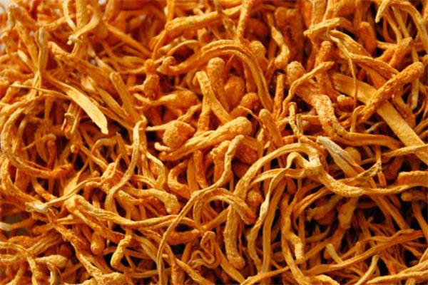生虫草花要煮多久才能吃,虫草花煮熟了可以吃吗