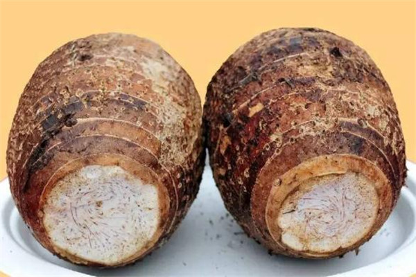 芋头能和生蚝一起吃吗,生蚝和香蕉能一起吃吗 芋头能和生蚝一起吃吗,生蚝和香蕉能一起吃吗