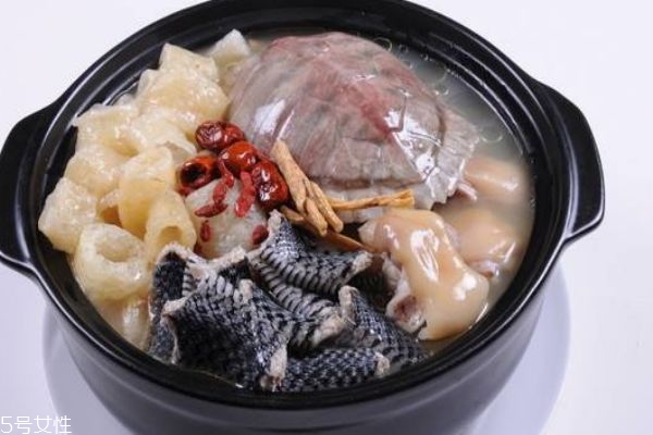 乌龟汤怎么做呀,乌龟汤的做法及食用方法