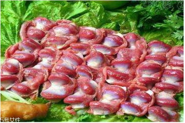 什么是鸡肫,鸡嗉是什么