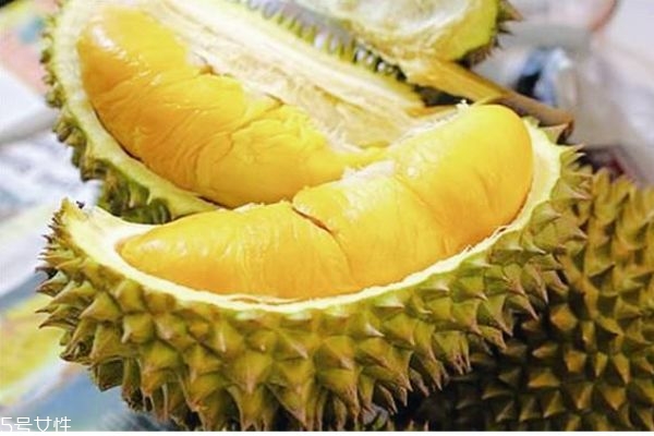 榴莲为什么会有臭味,为什么榴莲很臭