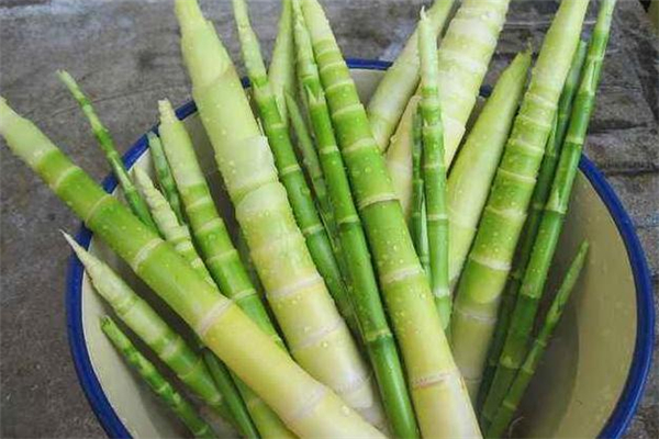 干竹笋是不是发物,竹笋是发物吗什么样的不能吃