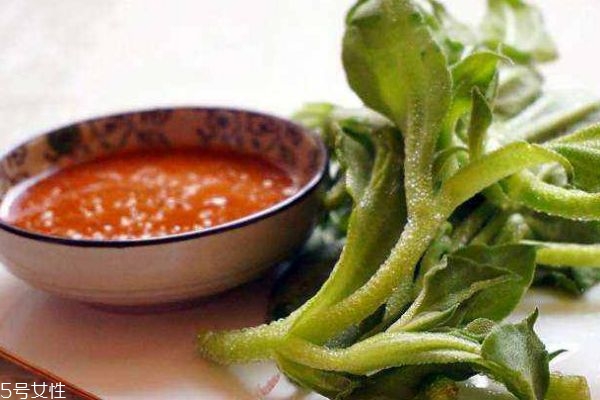 冰草是什么东西,冰草是哪里的 冰草是什么东西,冰草是哪里的