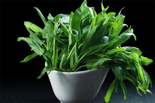 发苦的菜心有毒吗,空心菜吃起来苦是什么原因