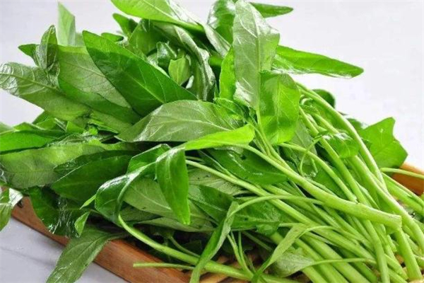 减肥能吃空心菜吗,空心菜热量高不高