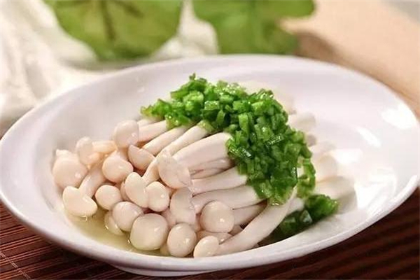 白玉菇不能和什么同吃,白玉菇和什么食物相克
