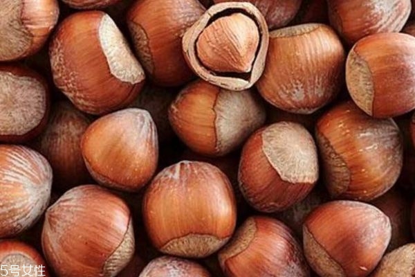 什么的榛子?,什么叫榛子 什么的榛子?,什么叫榛子