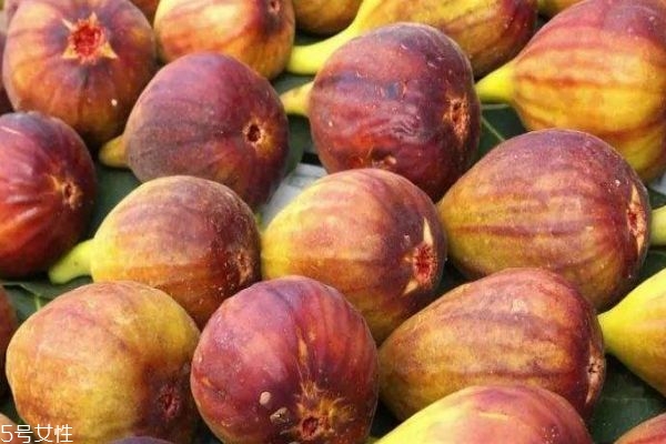 无花果是啥,什么叫无花果 无花果是啥,什么叫无花果