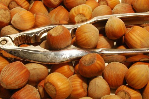 糖尿病人吃榛子血糖会升高吗,吃榛子能升高血糖吗