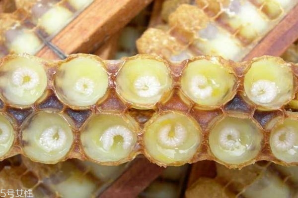 蜂王浆的功效是什么,蜂王浆的十二种功效 蜂王浆的功效是什么,蜂王浆的十二种功效