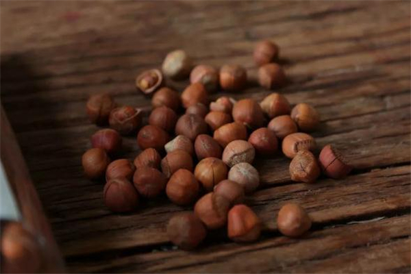榛子有点苦是怎么回事,榛子是不是有点苦 榛子有点苦是怎么回事,榛子是不是有点苦