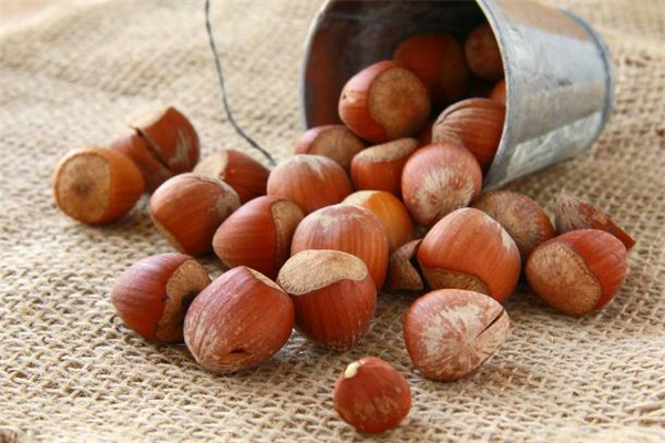 牛奶可以和榛子一起吃吗,吃完榛子可以喝牛奶吗