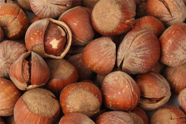 减肥能吃榛子不?,晚上吃榛子会不会胖