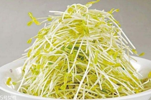 豆芽有什么用处,豆芽功效和作用你知道吗 豆芽有什么用处,豆芽功效和作用你知道吗